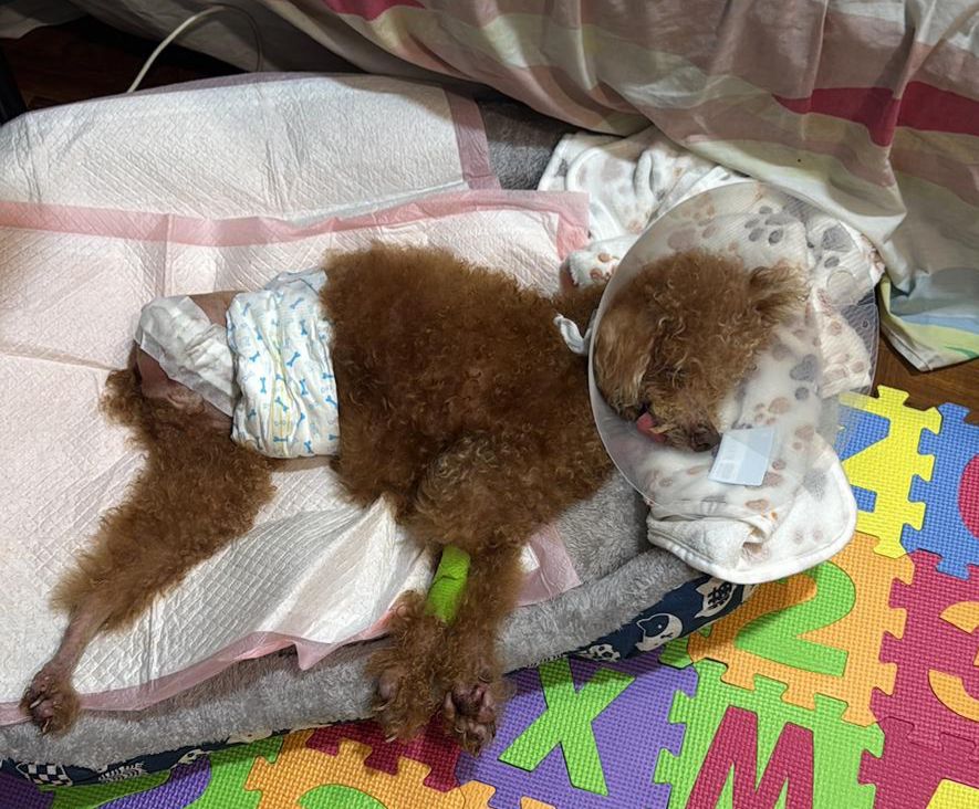 Ory after surgery